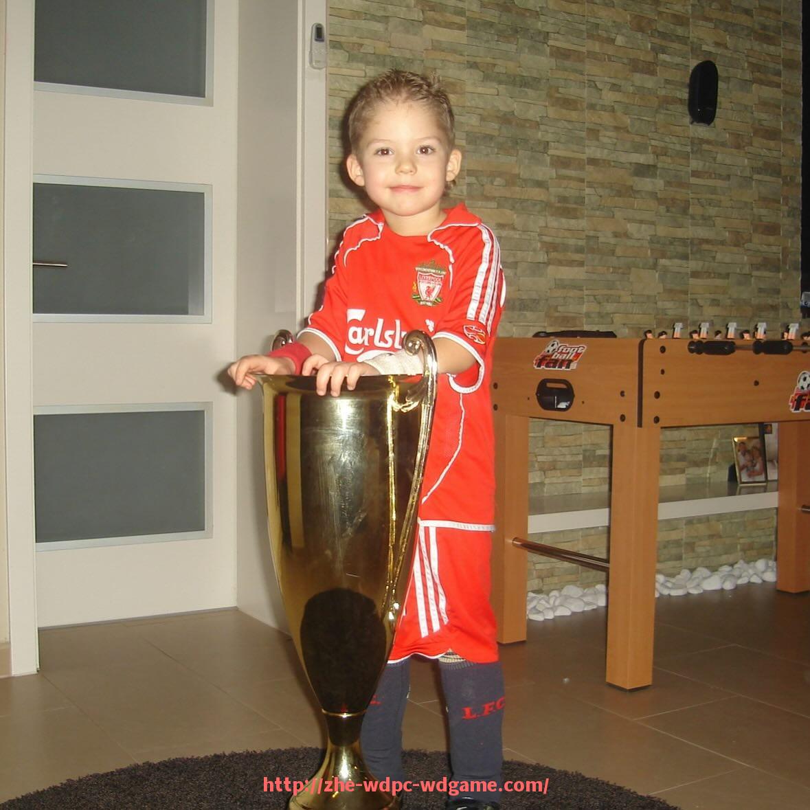 问鼎娱乐官方网站-德甲“派系足球队”概念分析及相关球队关系结构