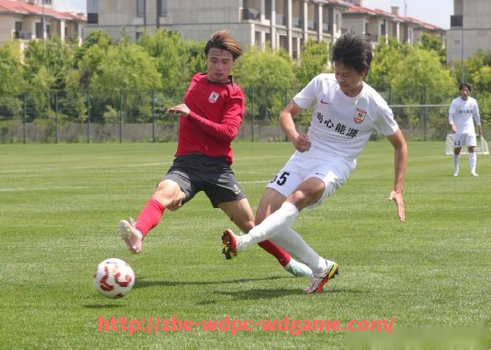 问鼎娱乐官方网站-世俱杯比赛服饰套装介绍及市场定位分析