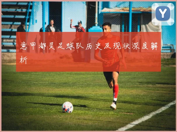 意甲都灵足球队历史及现状深度解析
